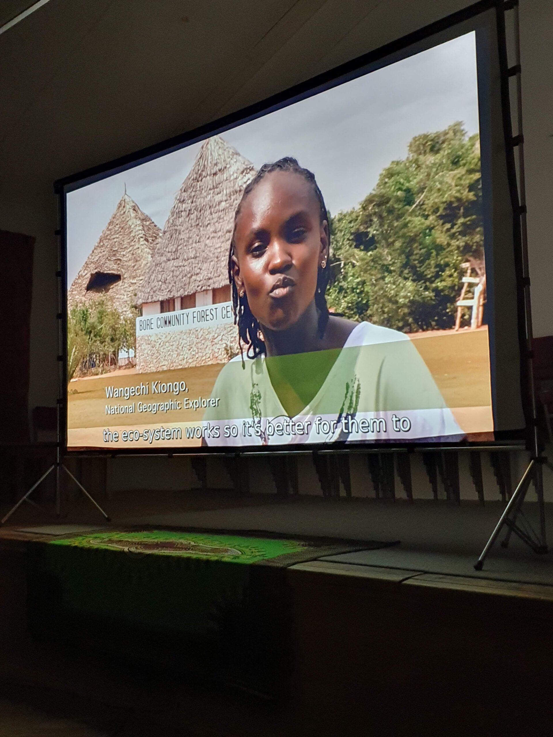 Wangechi Kiongo in #TreesAreTheKey on a screen
