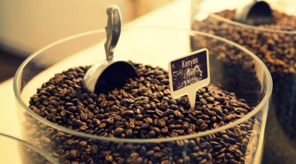 Kenyan coffee beans