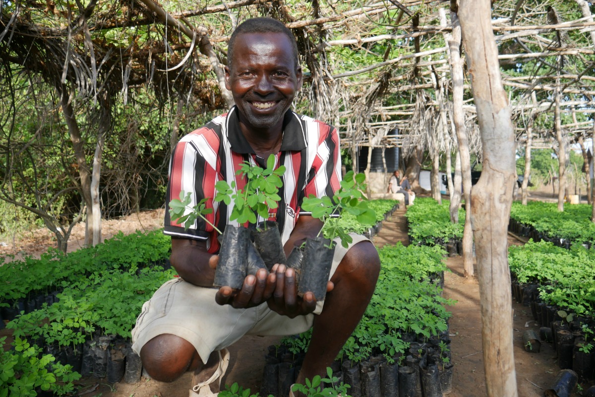 Theophrastus in the main Boré nursery