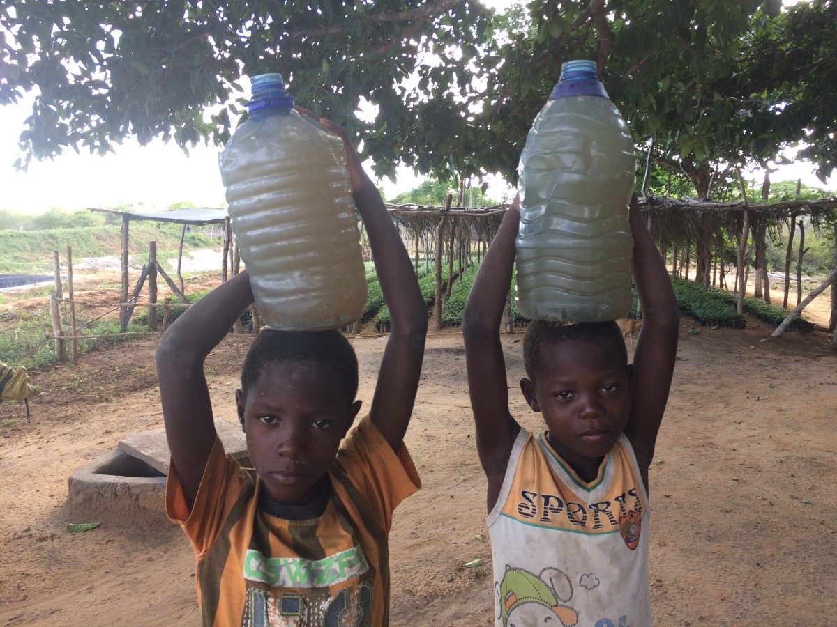 Youngsters carry water from the river near the Boré Nursery in the usual way: 9 litres on their heads