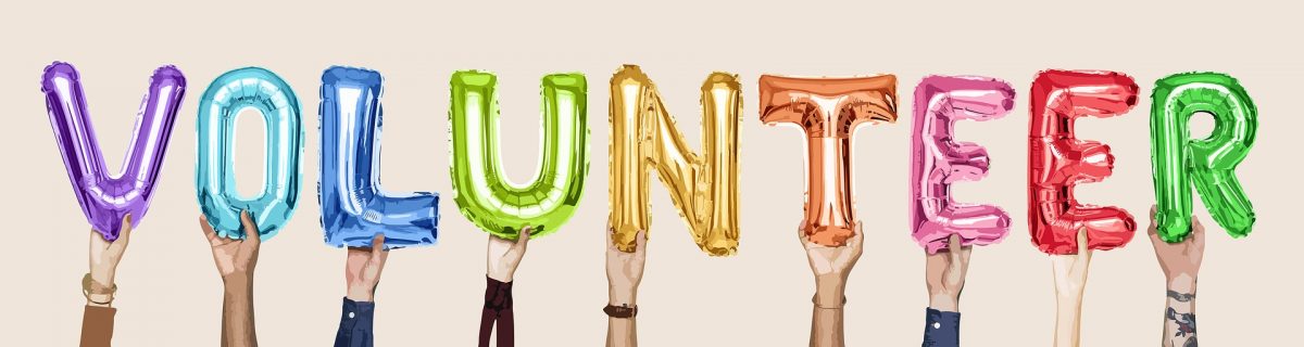 Volunteer at the Word Forest Organisation