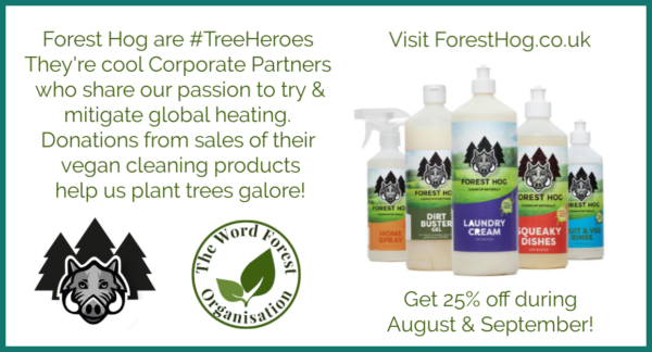 Poster showing special offers from corporate partners, Forest Hog for The Word Forest Organisation