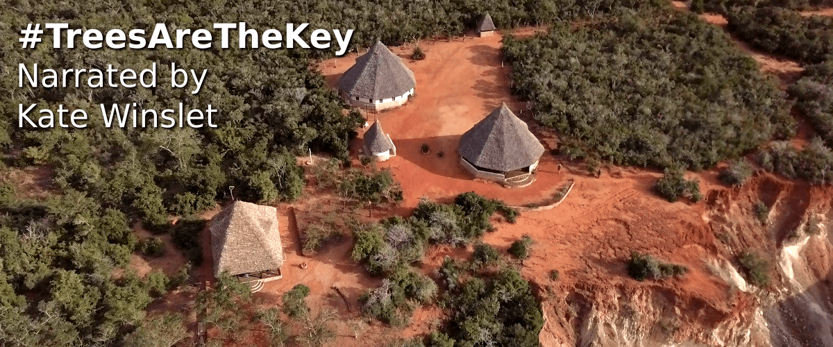 #TreesAreTheKey Narrated by Kate Winslet - Boré Forest Centre from the air