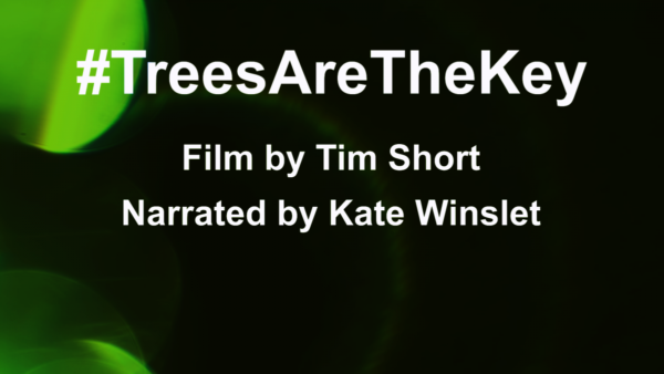 Poster for #TreesAreTheKey a film by Tim Short, narrated by Kate Winslet