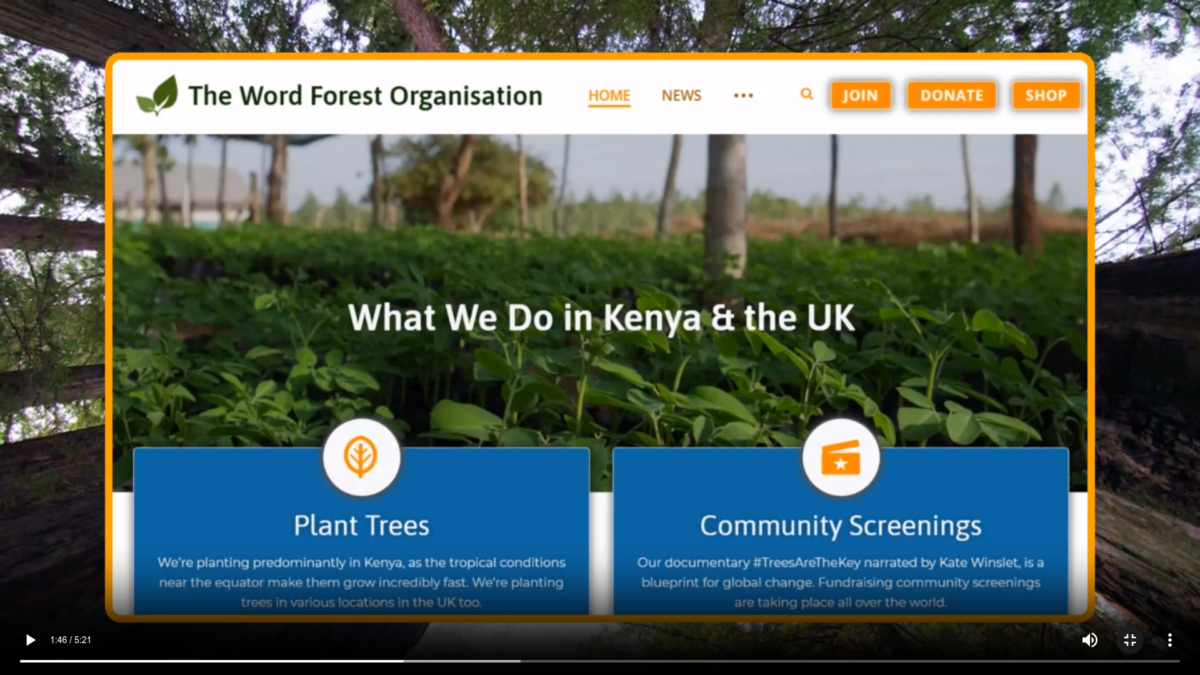 Word Forest Featured on Wiki Video poster