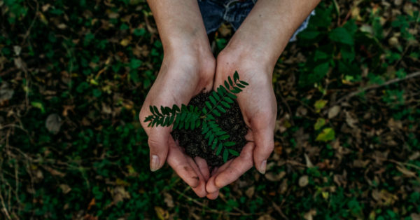Photo by Noah Buscher on Unsplash