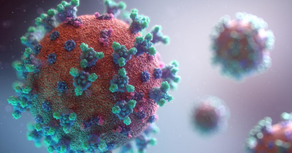 Simulation of a COVID 19 virus