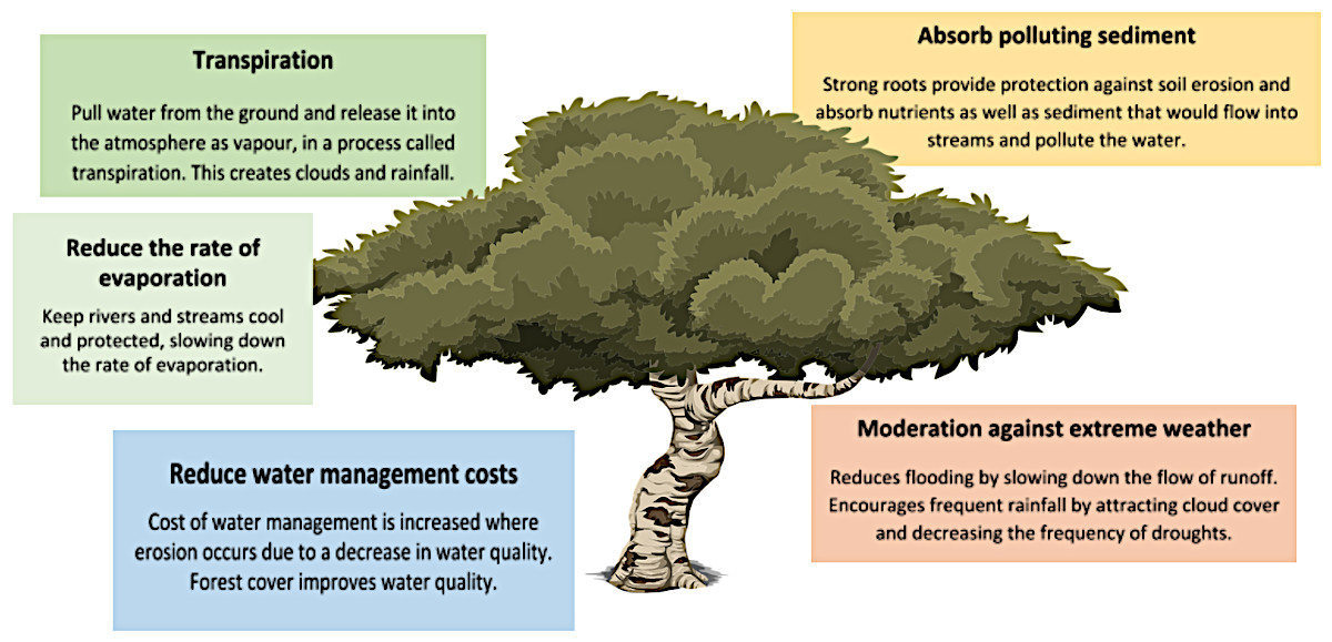 Graphic of a tree