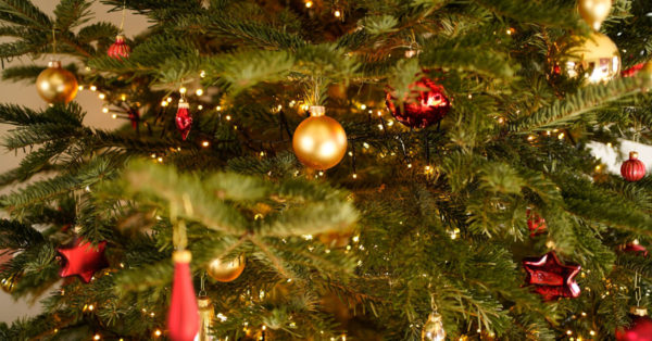 Decorated Christmas tree by Michel Stockman on Unsplash