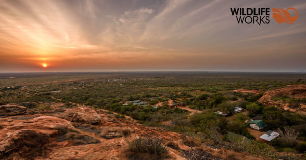 Wildlife Works logo on a Kenyan vista