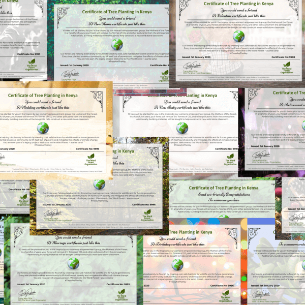 Certificates of Tree Planting