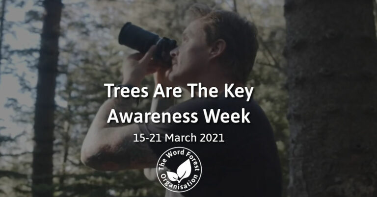 Trees Are The Key Awareness Week The Word Forest Organisation