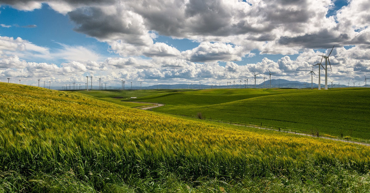 Wind turbines over grassy fields by Free-Photos from Pixabay