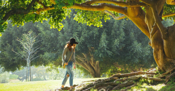 Woman walking under an ancient tree by Kevin Young on Unsplash
