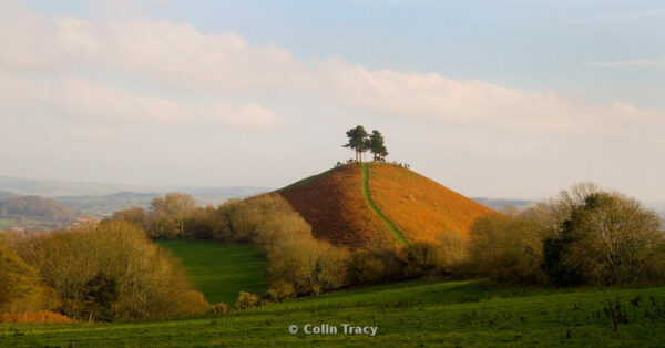 Colmers Hill by Colin Tracy