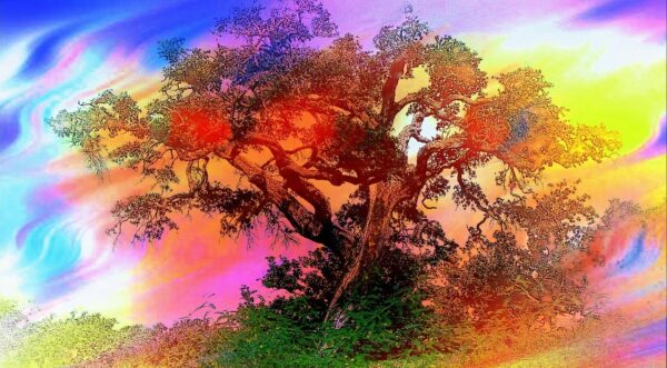 Colourful abstract tree by Lisa Runnels on Pixabay