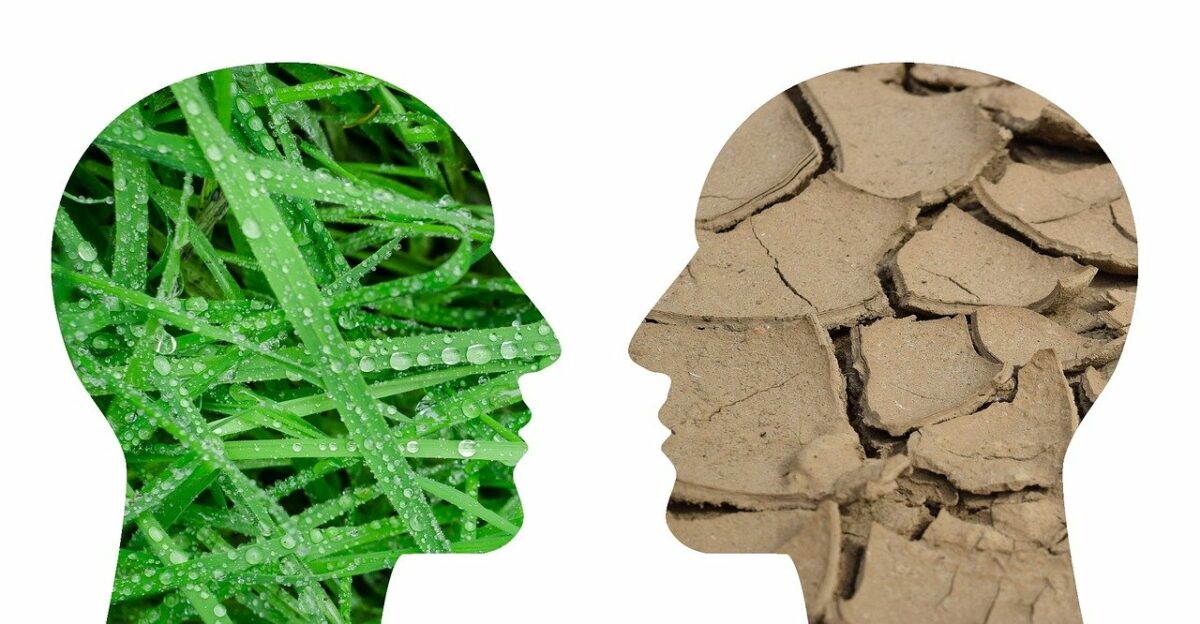 Climate change by Tumisi on Pixabay