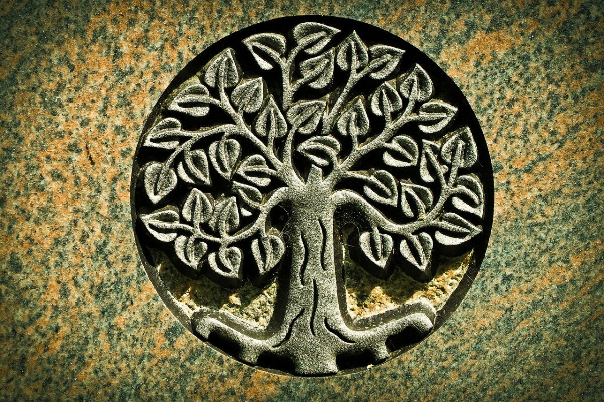 Stone tree of life on Pixabay
