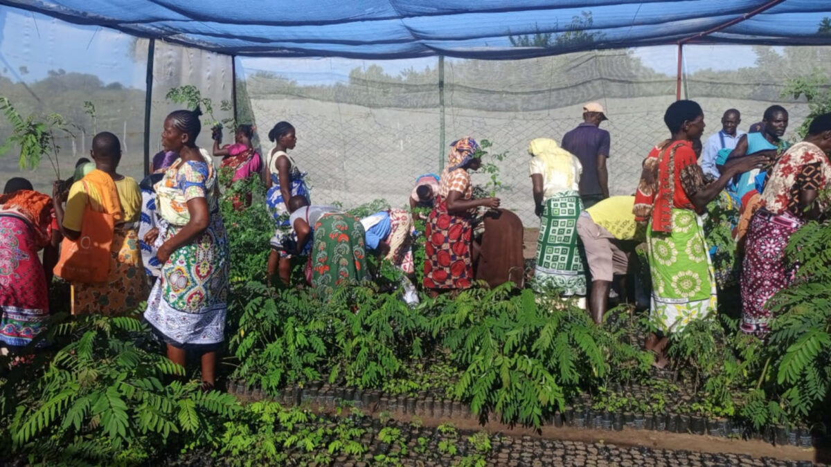 A group of Kenyan farmers in the Word Forest shade net nursery