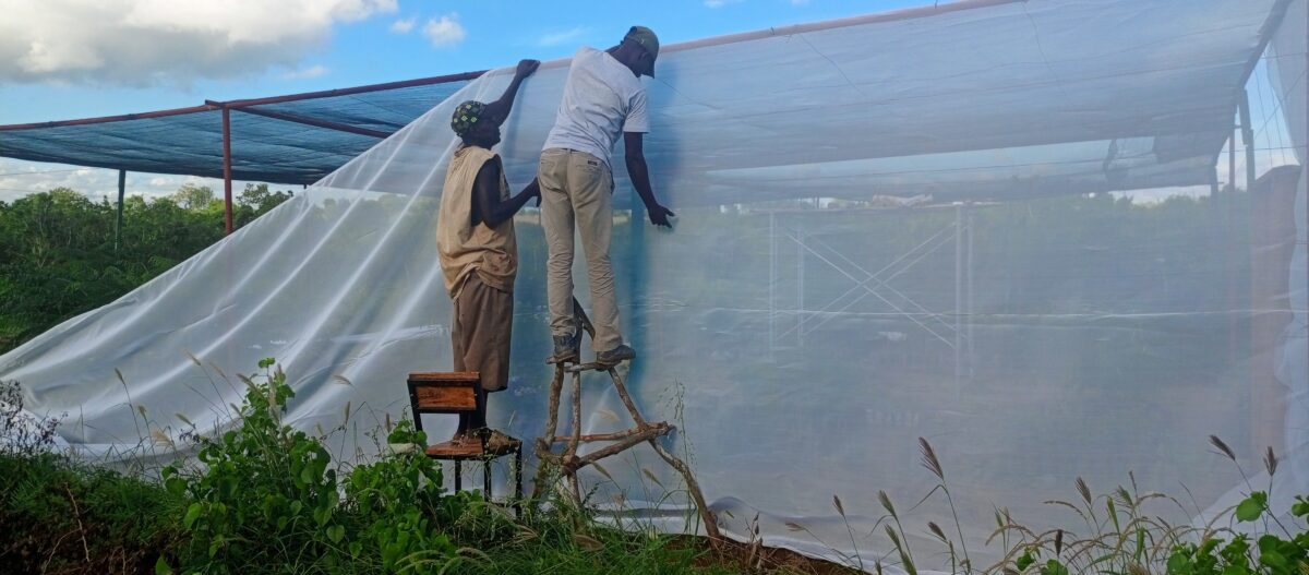 Two of our PTC workers building our shade net nursery