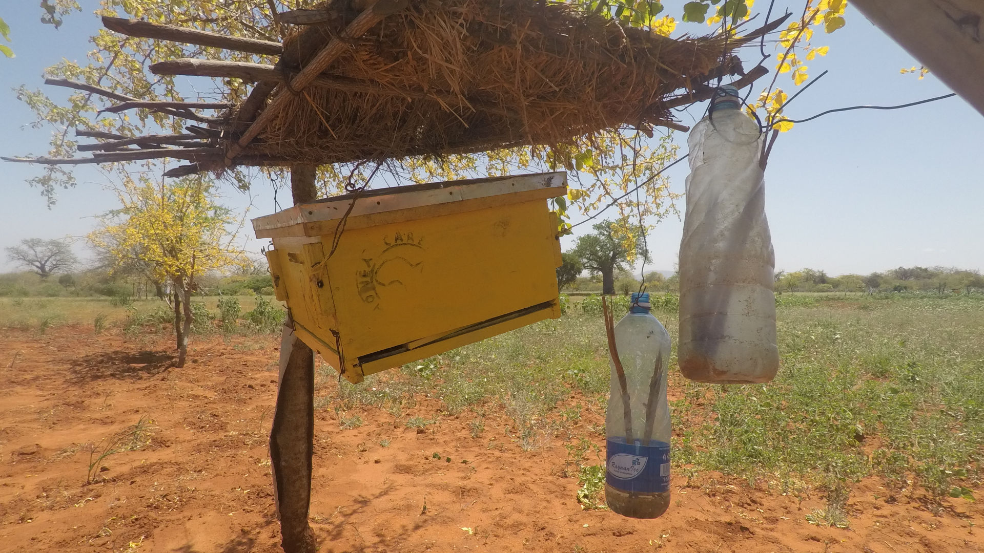 Save the elephants beehive fence