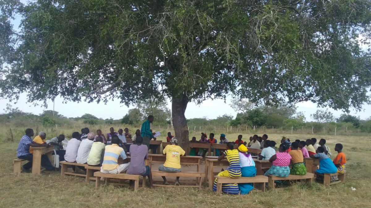 A community meeting under the shade of a tree in Boré