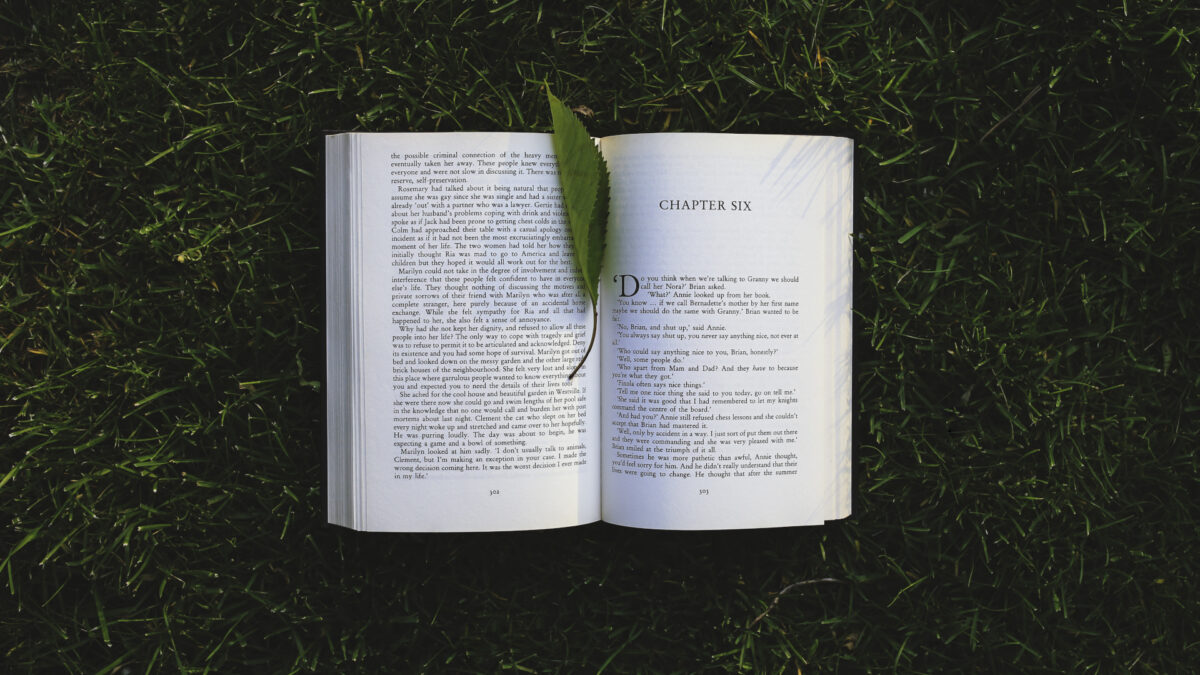 An open book on grass with a leaf as a bookmark