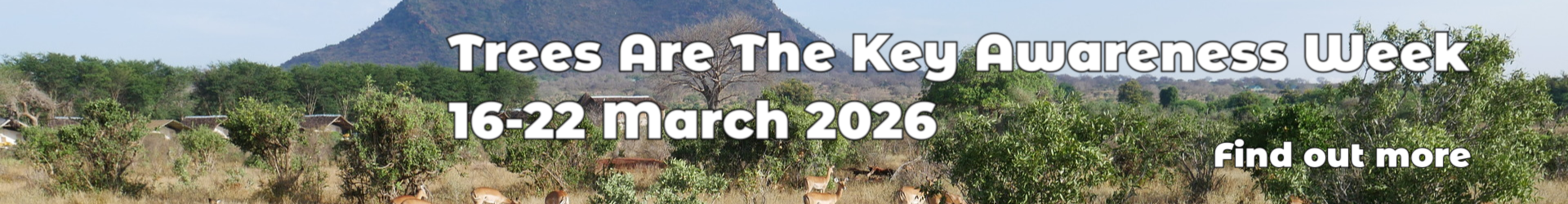 Trees Are The Key Awareness Week 16-22 March 2026 Find out more