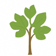 Hidden Sapling Mango