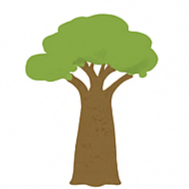 Hidden Sapling Baobab