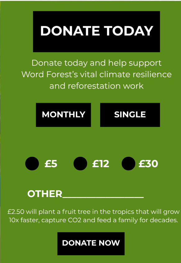 Donate Today