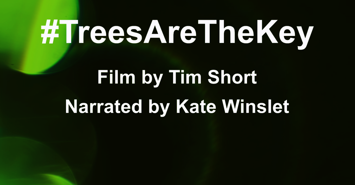 Poster for #TreesAreTheKey a film by Tim Short, narrated by Kate Winslet