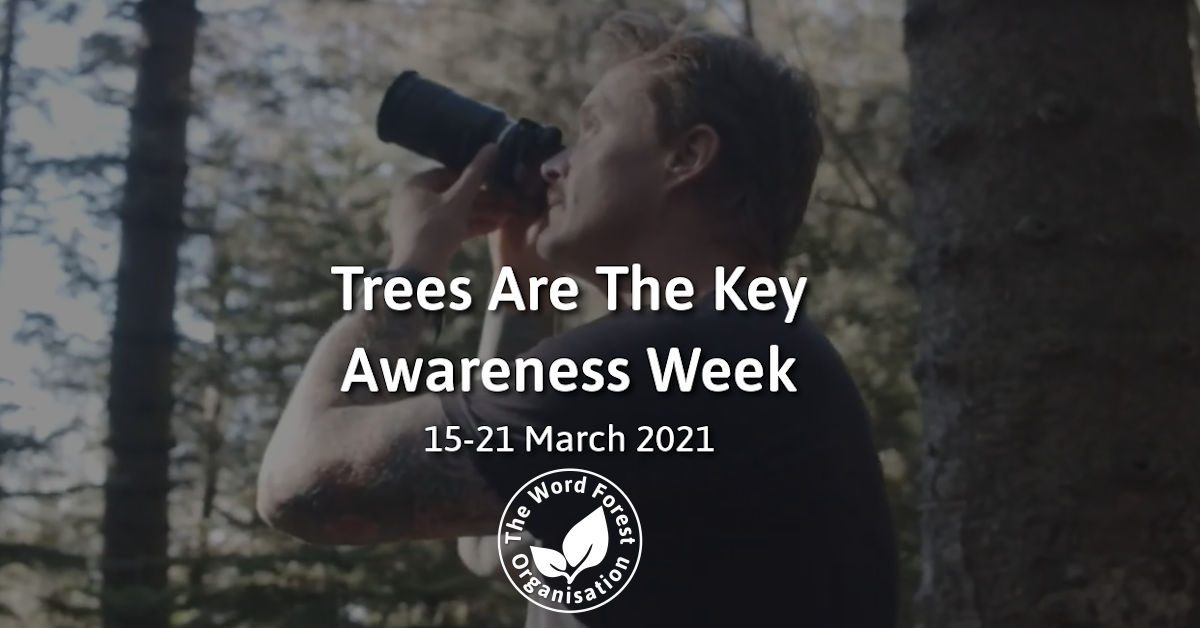 Trees Are The Key Awareness Week From The Word Forest Organisation