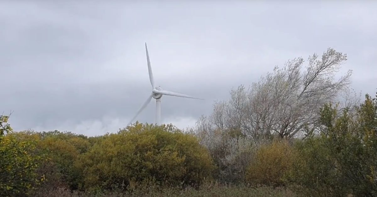 Wind turbine powering EV chargers