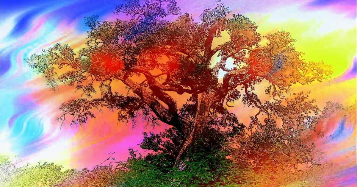 Colourful abstract tree by Lisa Runnels on Pixabay